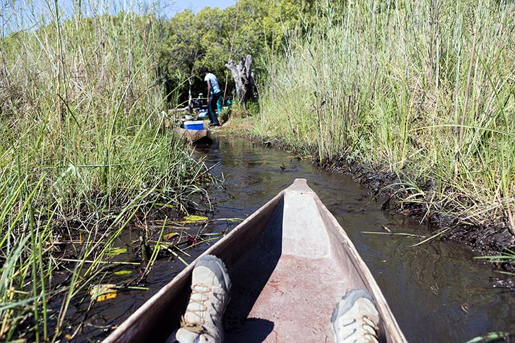 BWA NW OkavangoDelta 2016DEC02 Mokoro 005
